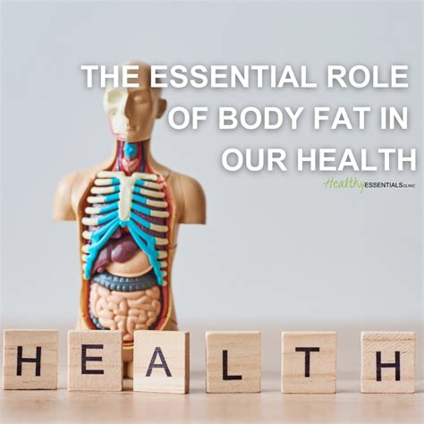 The Essential Role Of Body Fat In Our Health Part 1 Healthy
