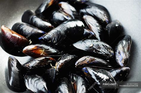 Fresh Raw Mussels — Dieting Yummy Stock Photo 151113394