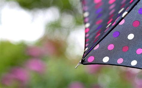Rain Umbrella Wallpapers Top Free Rain Umbrella Backgrounds