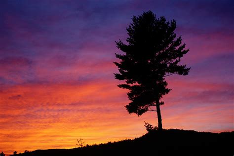 Lone Pine Sunset Photograph By Bill Morgenstern Fine Art America
