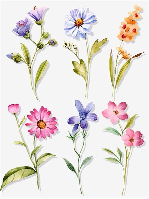 In the large love png gallery, all of the files can be used for commercial purpose. Watercolor Hand Drawn Floral Plant Set Illustration ...
