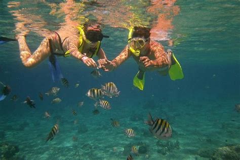 2023 25 Hours Tamarindo Atv Snorkel Tour To Secluded Beaches