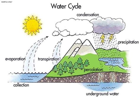 Simple Water Cycle Drawing At Getdrawings Free Download