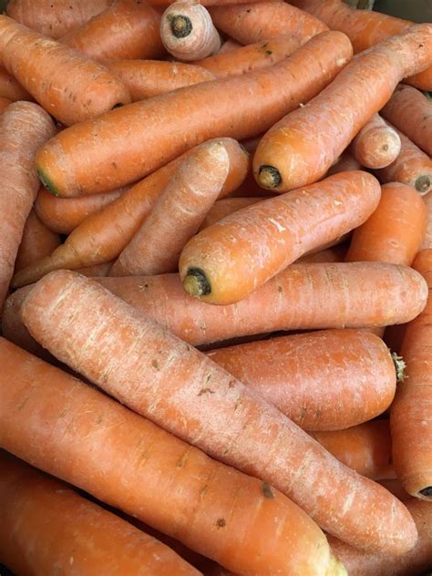Carrot 1 Kg The Northampton Grocer