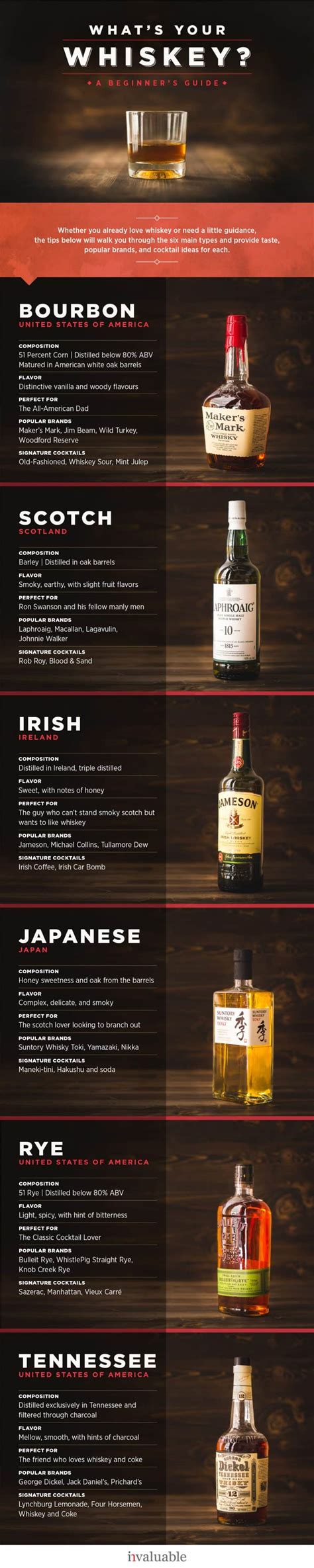 The Beginner’s Guide To Types Of Whiskey Daily Infographic