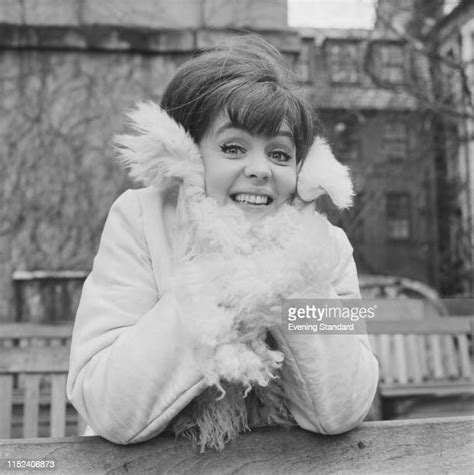 Pauline Collins Photos And Premium High Res Pictures Getty Images