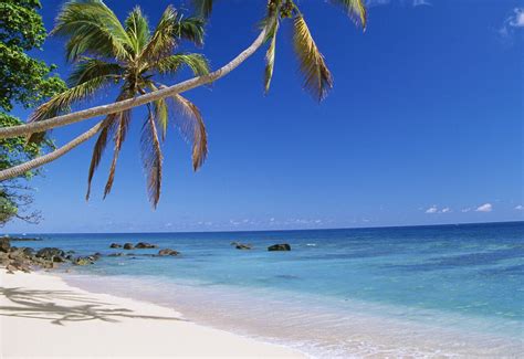 Review Of Dravuni Island Beaches Kadavu Province Fiji Afar