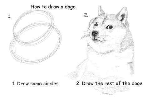 Best way to start drawing reddit. How to draw a doge : dogecoin