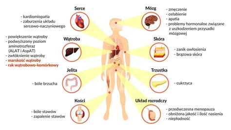 Co To Jest Hemochromatoza Objawy Przyczyny Sposoby Leczenia Rola My XXX Hot Girl