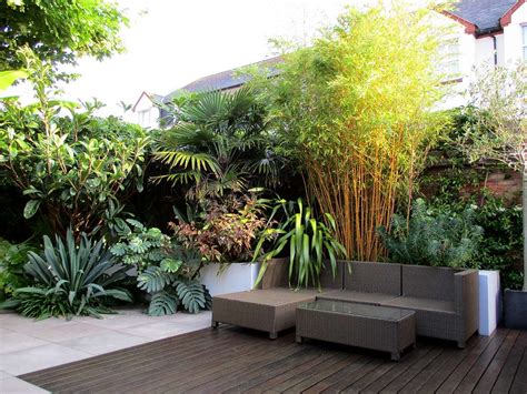 Garden Design By Post A Modern Tropical Garden In Devon Tropical
