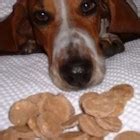 It is one the best recipe for diabetic dog foods. Diabetic Dog Treats Recipe - Allrecipes.com