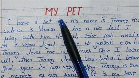 My Pet Dog Essay Essay On My Pet My Pet Paragraph My Pet Dog
