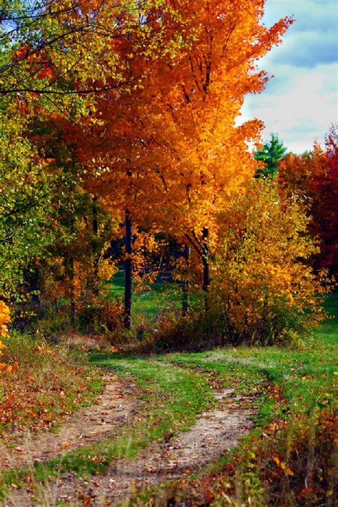 Vibrant Autumn In New Hampshire