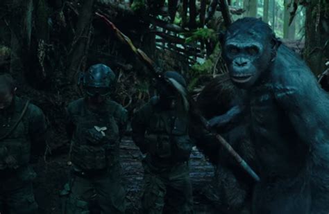 Le scimmie subiscono grosse perdite e cesare comincia a meditare vendetta! The War - Il Pianeta delle scimmie: da oggi al cinema - Cinefilos.it