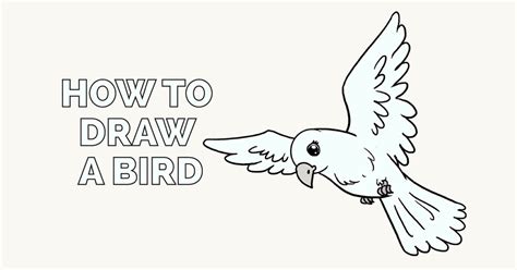 How To Draw A Bird Easy Step By Step Drawing Guides