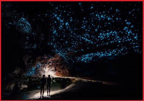 An Interesting Cave That Glows Like Starry Sky Waitomo Glowworm Caves
