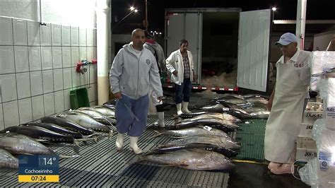 feira de peixes da ceagesp começa a ser abastecida após fim da greve dos caminhoneiros são