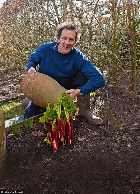 Check spelling or type a new query. How to raise perfect rhubarb: If you know how to look ...