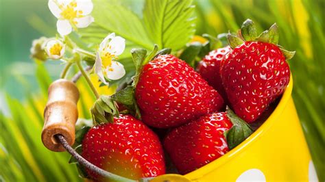 Download Strawberries Basket Fresh Fruits 1920x1080 Wallpaper Full