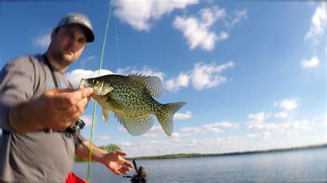 Catch More Crappie With These 3 Easy Fishing Techniques Spring Fishing