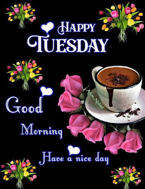 happy tuesday good morning have a nice day happy tuesday images good morning tuesday images
