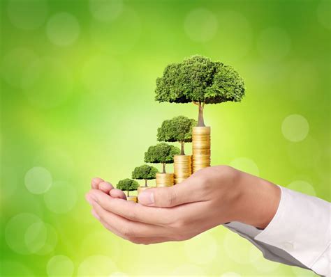 Smart Growth Part 7: Organic Growth of Revenue | Rainmaking Oasis, LLC