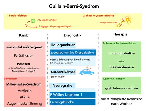 Guillain Barré Syndrom Neurologie