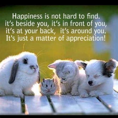 Cute And True Respect Quotes Cute Animals Respect Quotes For Kids