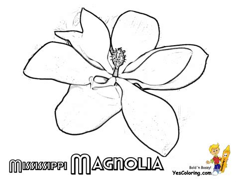 So if you need to print out the image, we recommend you to print out the original svg files. States Flower Printables | Maine-Montana | Free | Flower ...