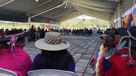 La Mitad De Los Pueblos Indígenas De Bolivia Pueden Desaparecer Prensa Mercosur El Diario