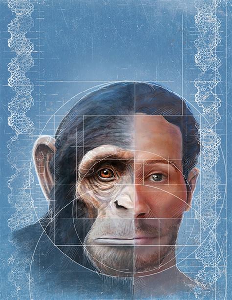 Scientists Home In On Origin Of Human Chimpanzee Facial Differences