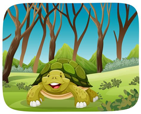 Cute Turtle In Forest 528576 Vector Art At Vecteezy