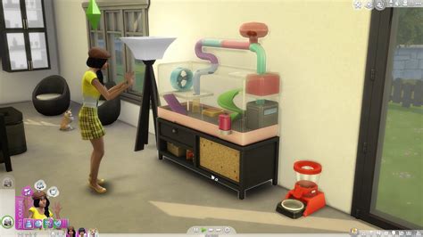 Les Sims 4 Un Hamster Avec Le Kit Dobjets Premier Animal De