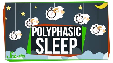 What Do Scientists Really Know About Polyphasic Sleep Youtube