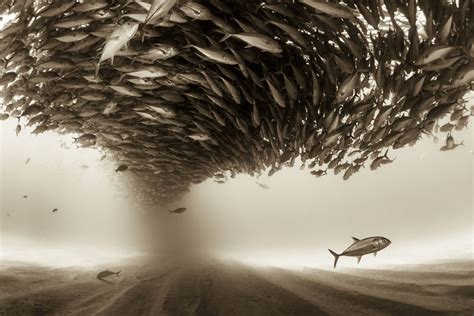 The Shortlist For Sony World Photography Awards