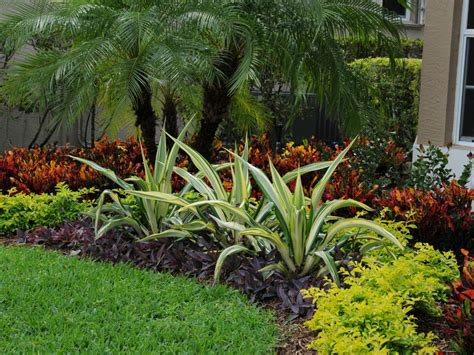 Tropical Garden Photos Pamela Crawford Palm Beach Landscapes