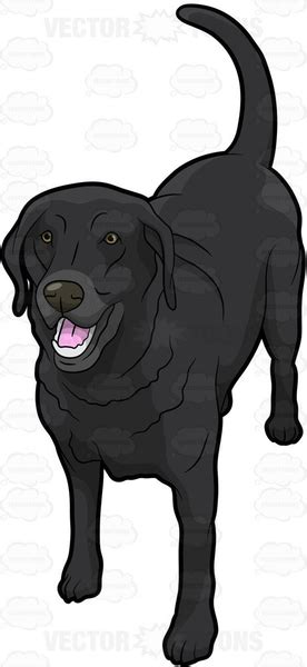 Labrador Black Dog Clip Art At Clker Com Vector Clip Art Dog Breeds