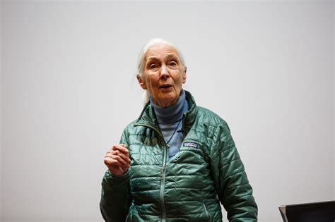 The hope (2020) 123movies online for free. Video commemorating Dr Jane Goodall's annual DICE Lecture ...