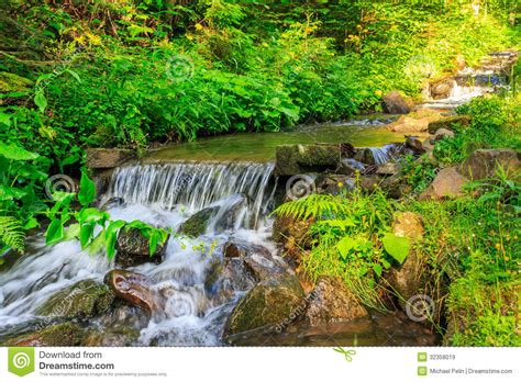 Forest Stream Splashes On The Rock Cascade Stock Image Image Of