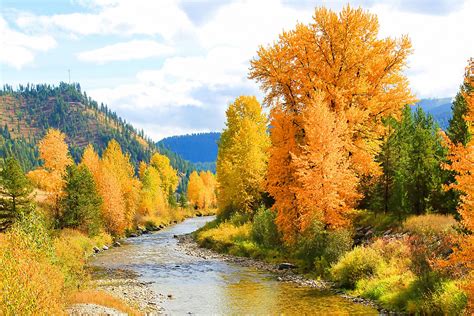 Autumn River Landscape Photograph By Athena Mckinzie