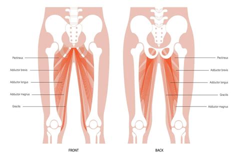 15 Hip Adductor Stretches To Loosen Tight Groin And Inner Thighs