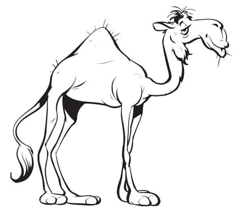 Colorear Dibujos De Camellos