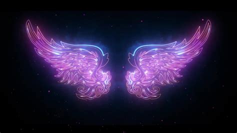 Neon Wings Stock Motion Graphics Motion Array