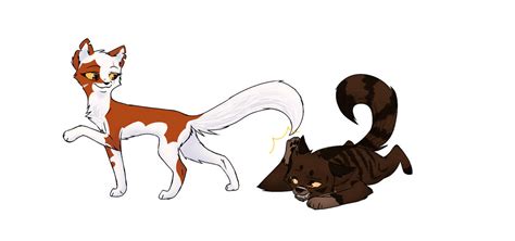 Mapleshade And Tigerstar By Snowy Owl Of Dawn On Deviantart