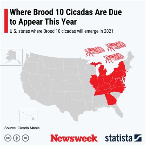 Brood 10 Cicadas Map Shows The Us States Where The Insects Will Appear Brooding Cicada