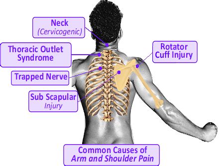 This means a pain which is caused by a problem somewhere else in the body, but is felt in the shoulder due to the nerve pathways. Numbness in neck and shoulder > ALQURUMRESORT.COM