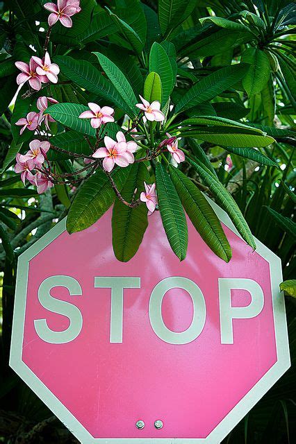 Pink Stop Sign