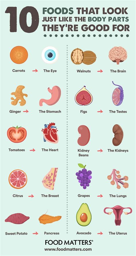 10 Foods And What Body Part They’re Good For Infographic Artofit