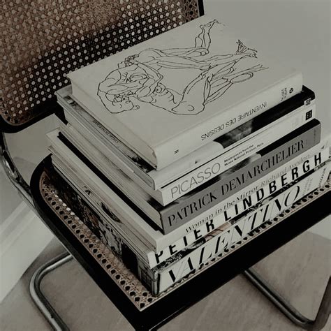 ･ﾟ 𝐀𝐄𝐒𝐓𝐇𝐄𝐓𝐈𝐂 ꒱ 𝒔𝒕𝒂𝒓𝒆𝒍𝒍𝒊𝒖𝒎 Book Aesthetic Books Book Art