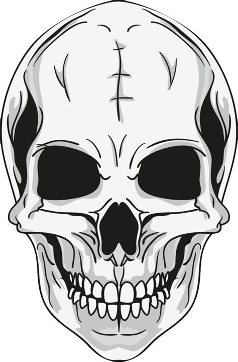 Skull Transparent Image Download Size 650x988px